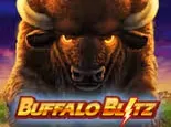 Buffalo blitz